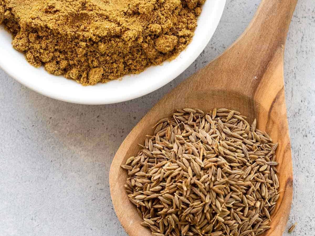 Monsoon में रखना है खुद को स्वस्थ, तो इस्तमाल कर सकते हैं ये जड़ी बूटियां, रहेंगे चुस्त और बढ़ेगी इम्युनिटी - Photo Gallery