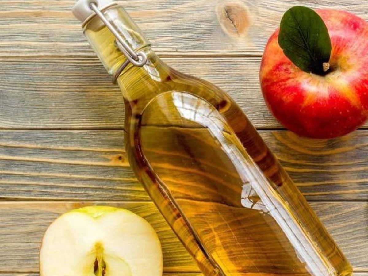 क्या आपको भी अपना वजन करना है कम ? तो लेकर आए है हम दो असरदार वजन घटने वाले विकल्प, जानिये वो क्या है और कैसे करेंगे आपकी मदद - Photo Gallery