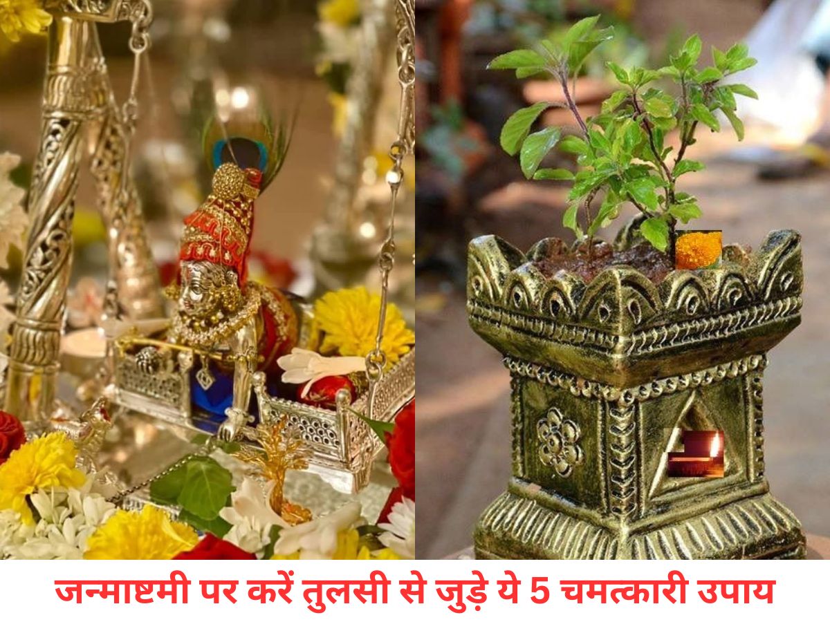 Janmashtami 2025: जन्माष्टमी पर करें तुलसी से जुड़े ये 5 चमत्कारी उपाय, लड्डू गोपाल की कृपा से घर में बरसेगा धन-धान्य और खुशहाली - Photo Gallery