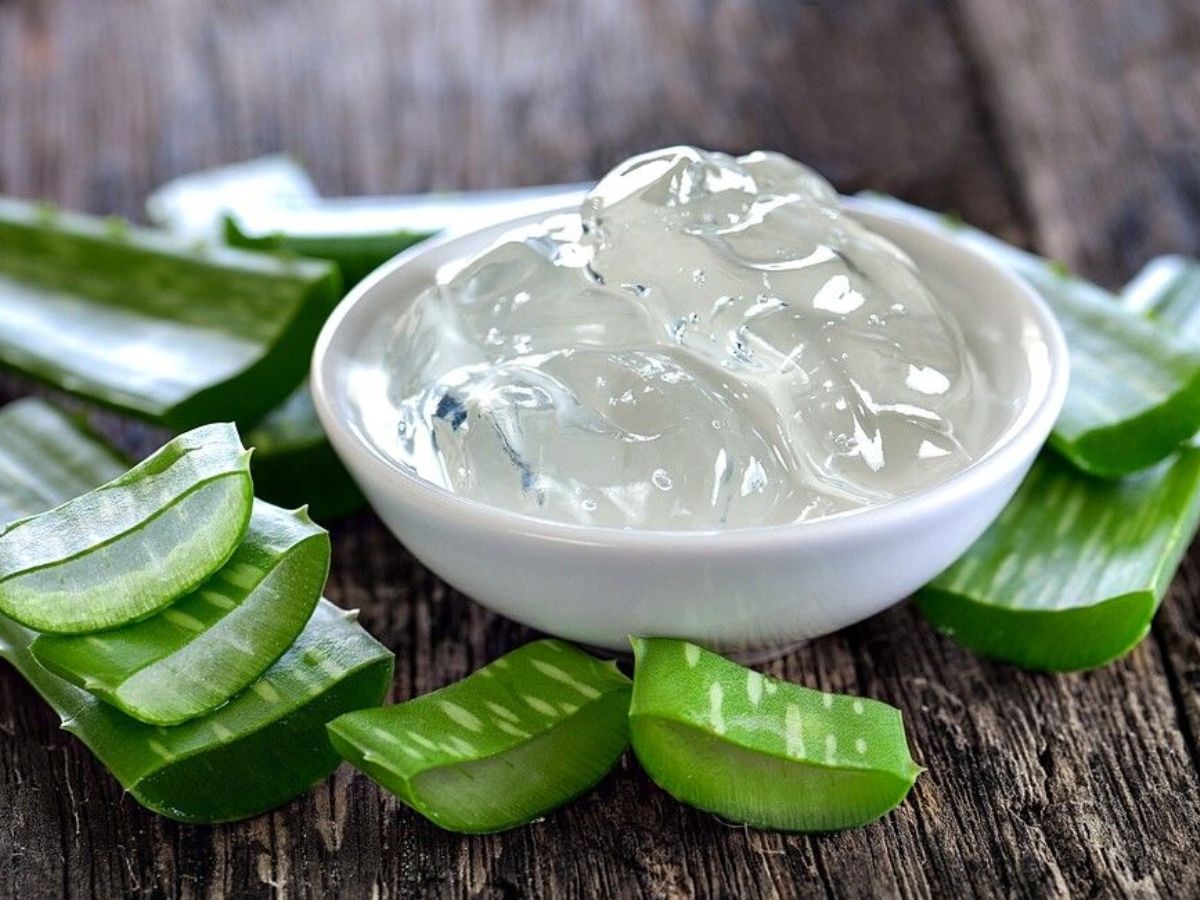 aloe vera gel to reduce inflammation - Photo Gallery