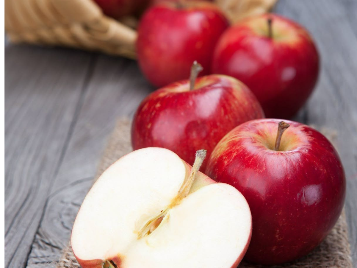 America से India में क्या आता है? जानकर रह जाएंगे हैरान - Photo Gallery