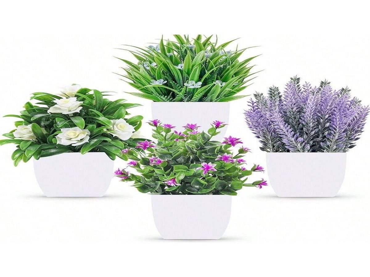 Vastu For Home: घर के दरवाजे पर लगाए गए ये पौधे बनते हैं दुर्भाग्य का कारण, जानें किनसे करें परहेज - Photo Gallery