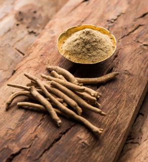 शिलाजीत की भी बाप हैं ये आयुर्वेदिक चीजें, मर्दों के थके-हारे शरीर में भर सकती हैं घोड़े जैसी फुर्ती! - Photo Gallery