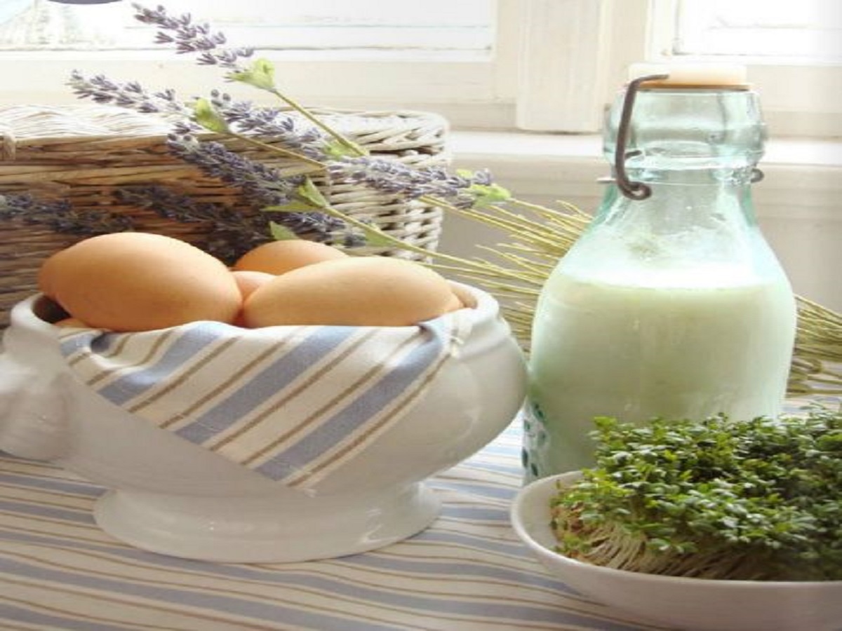 मर्दों की ताकत का देसी सीक्रेट: दूध और अंडा एक साथ खाना वरदान है या धीमा जहर? जानिए सच्चाई और सही तरीका - Photo Gallery