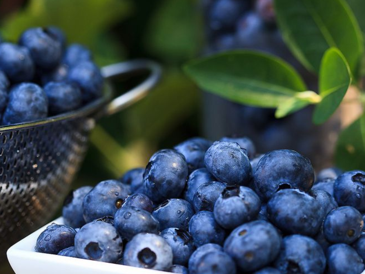 America से India में क्या आता है? जानकर रह जाएंगे हैरान - Photo Gallery