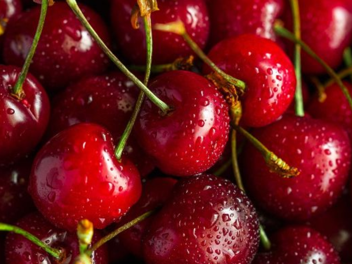 America से India में क्या आता है? जानकर रह जाएंगे हैरान - Photo Gallery