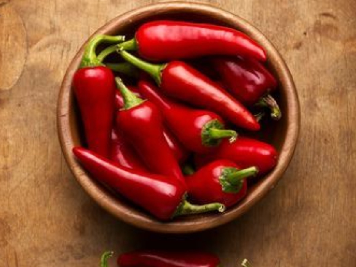 सब्जियां उगाने का शौक है? तो आप भी अपने घर को बनाएं एक छोटा बगीचा - Photo Gallery