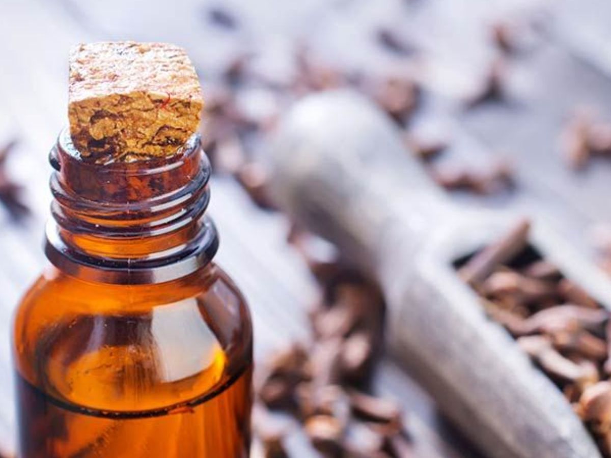 clove oil - Photo Gallery