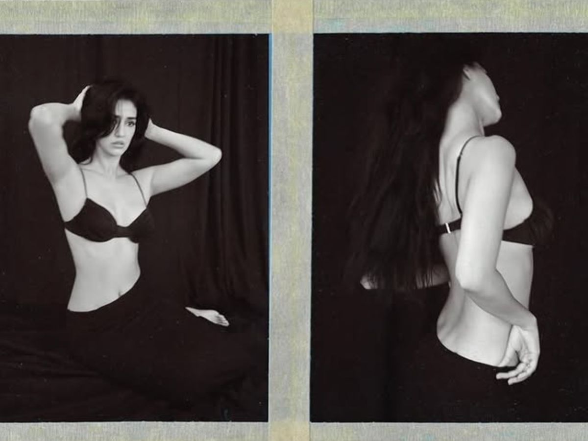 Disha posed with confidence - Photo Gallery