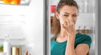 फ्रिज की बदबु होगी अब मिनटों में गायब, Newspaper चला देगा अपना जादू!