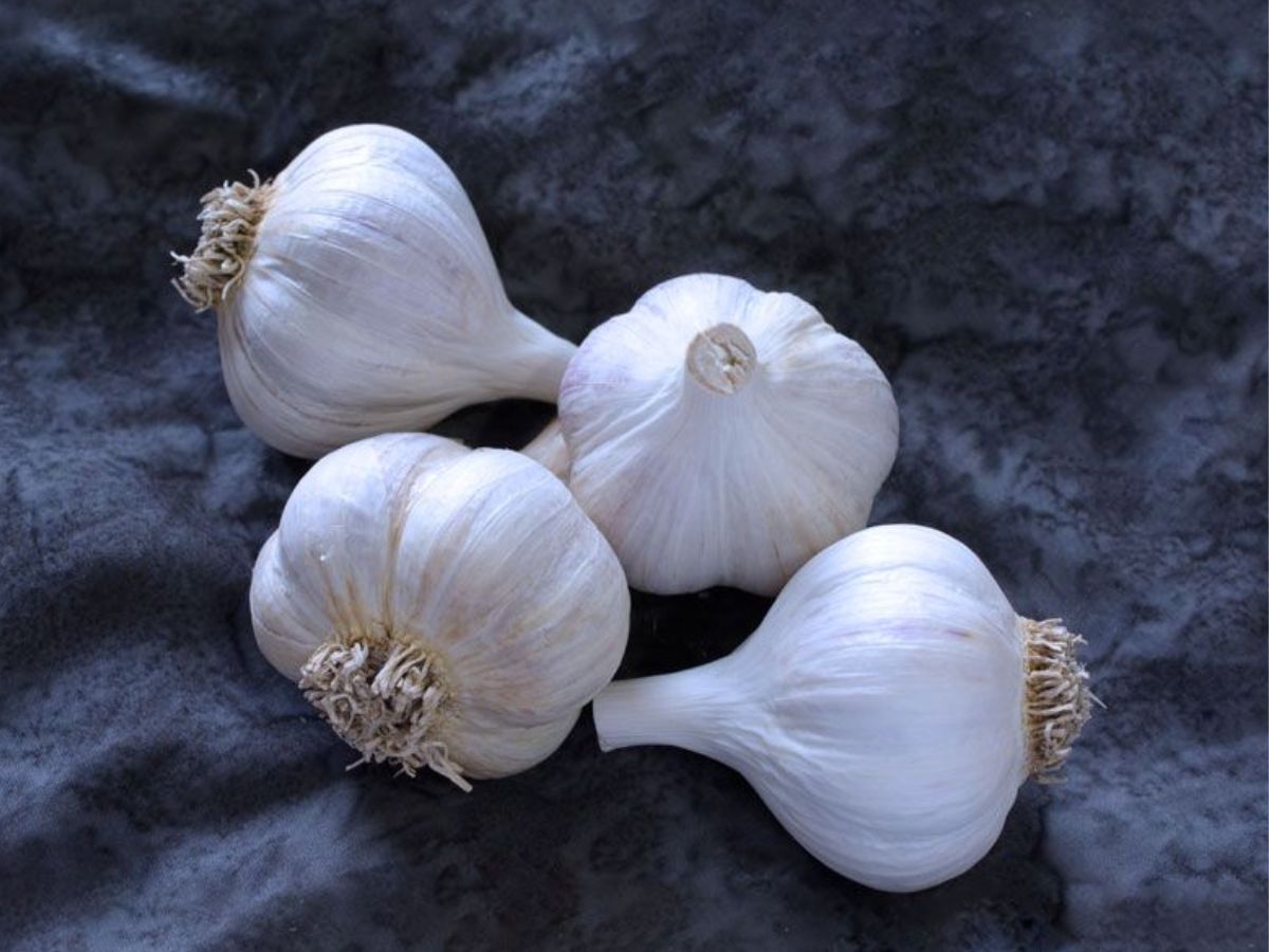 ये खाने की चीजे बना सकती हैं आपकी सांसों को बदबूदार और कर सकती हैं आपकी पर्सनालिटी को फीका - Photo Gallery