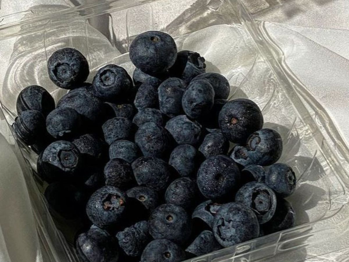 Blueberries Benefits: हेल्दी स्किन से लेकर weight loss में मदद करती हैं ब्लूबेरी, जानें और क्या – क्या हैं फायदे - Photo Gallery