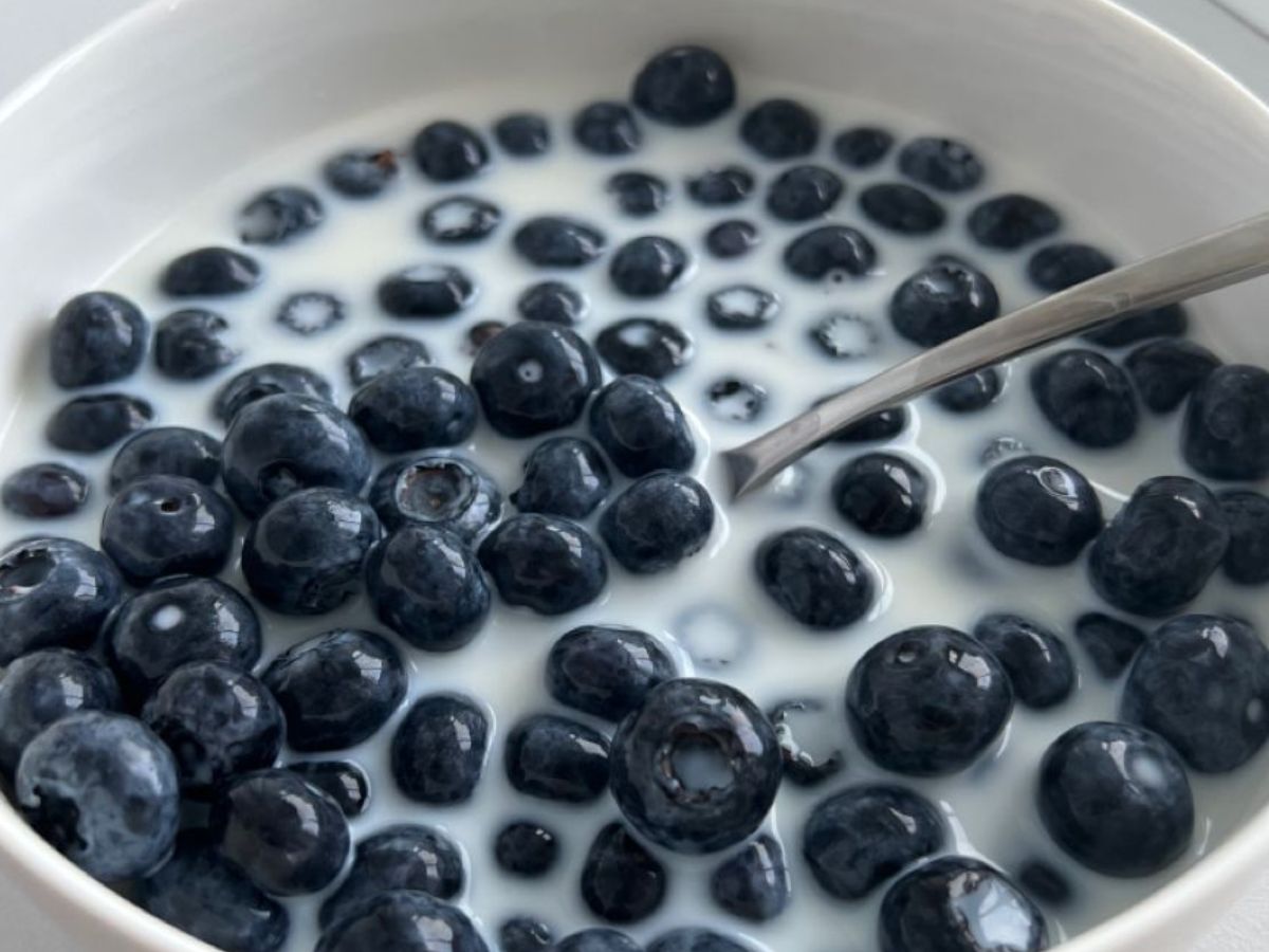Blueberries Benefits: हेल्दी स्किन से लेकर weight loss में मदद करती हैं ब्लूबेरी, जानें और क्या – क्या हैं फायदे - Photo Gallery