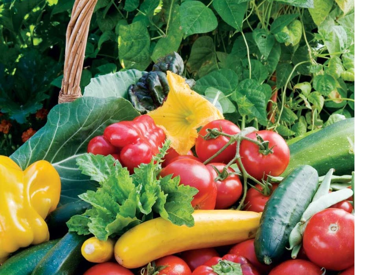 अगर आपको भी बढ़ाना है अपनी उम्र ,तो जरूर खाये ये Nutritious Food - Photo Gallery