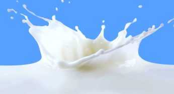 क्या आपके भी घर में भी आ रहा है नकली दूध? पता लगाने के लिए करें इन तरीकों का इस्तेमाल