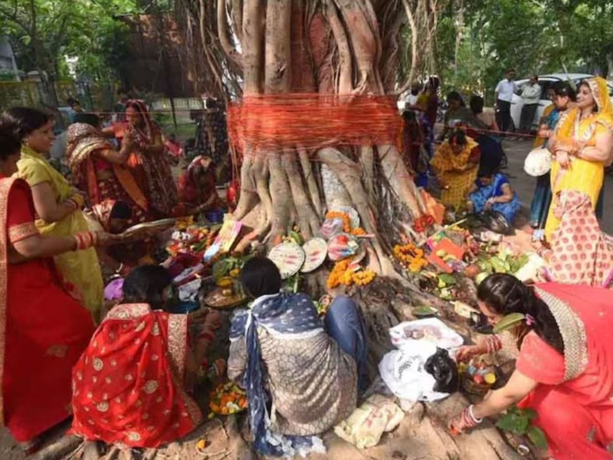 मां लक्ष्मी की विशेष कृपा पाने का आसान तरीका: इन 5 पेड़-पौधों पर लाल या काला कलावा बांधें और देखें घर में खुशहाली और समृद्धि की बहार - Photo Gallery