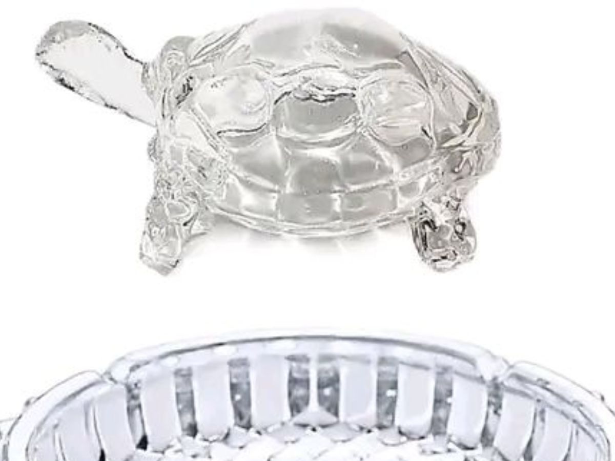 वास्तु शास्त्र का चमत्कारी उपाय: घर में कछुआ रखने से बढ़ेगी बरकत और खुशहाली - Photo Gallery