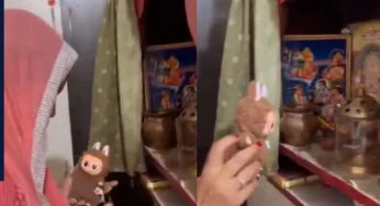 जिसे बता रहे थे पिशाच वो निकली चीन की भगवान…महीला ने Labubu Doll के साथ कर दिया ऐसा कांड, अब क्या भुगतना होगा अंजाम?