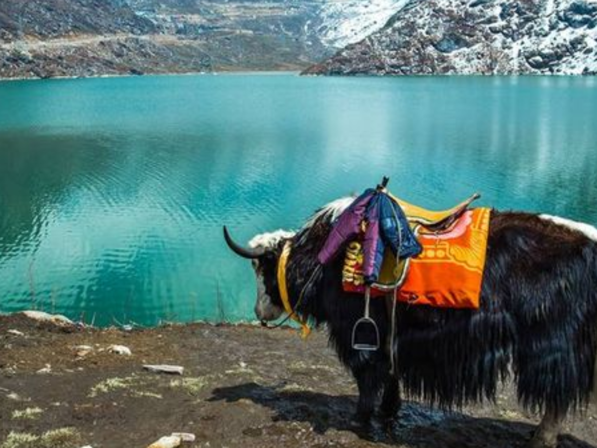 Lachen is a magnificent hill station in North Sikkim. - Photo Gallery