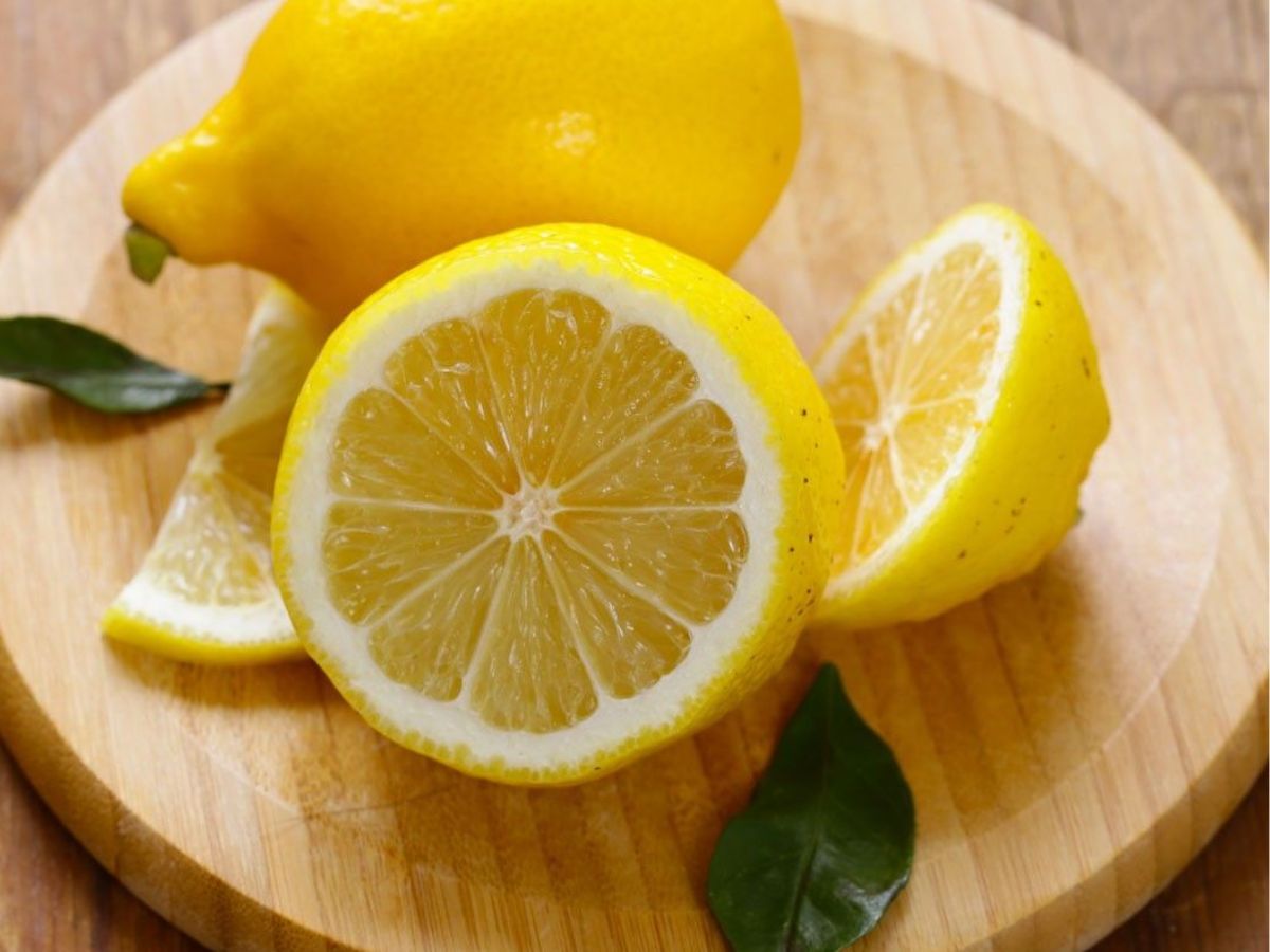 Lemon - Photo Gallery