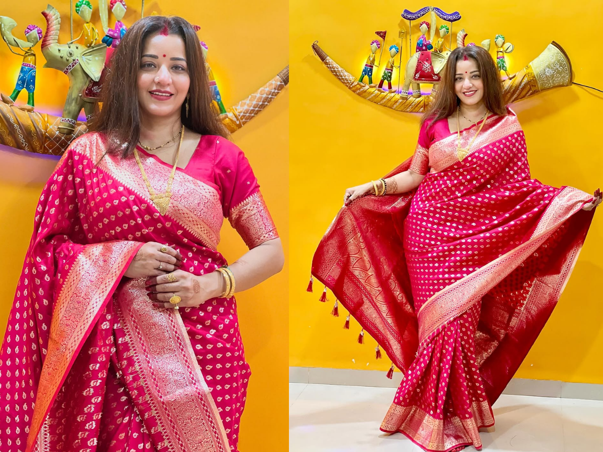 Monalisa Look Glamorous In Pink Saree - Photo Gallery