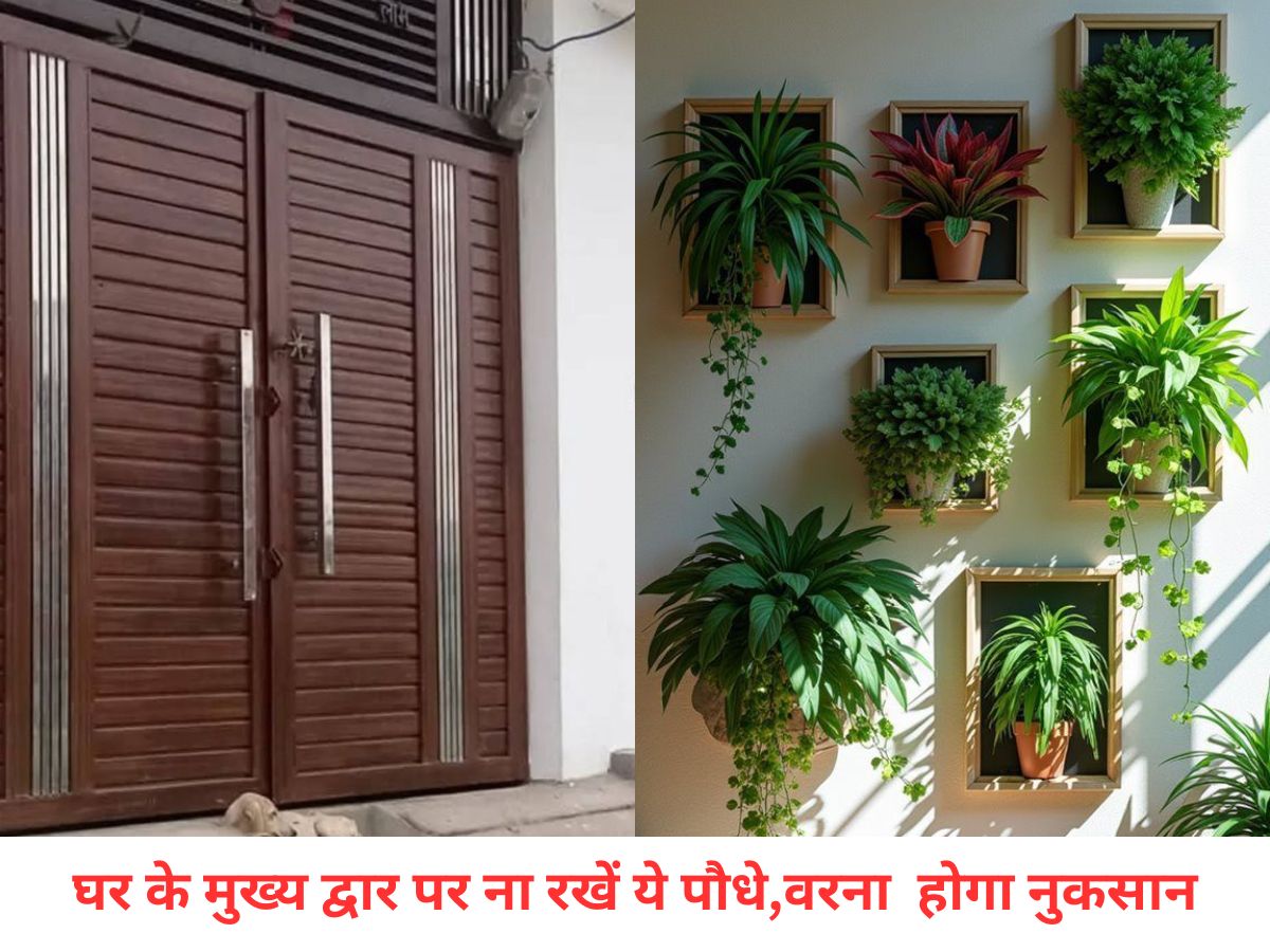 Vastu For Home: घर के दरवाजे पर लगाए गए ये पौधे बनते हैं दुर्भाग्य का कारण, जानें किनसे करें परहेज - Photo Gallery