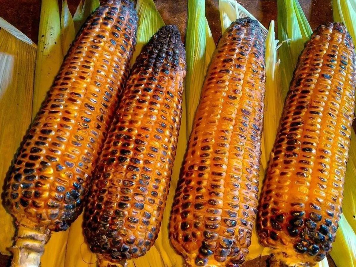 People who want to lose weight should not eat corn - Photo Gallery