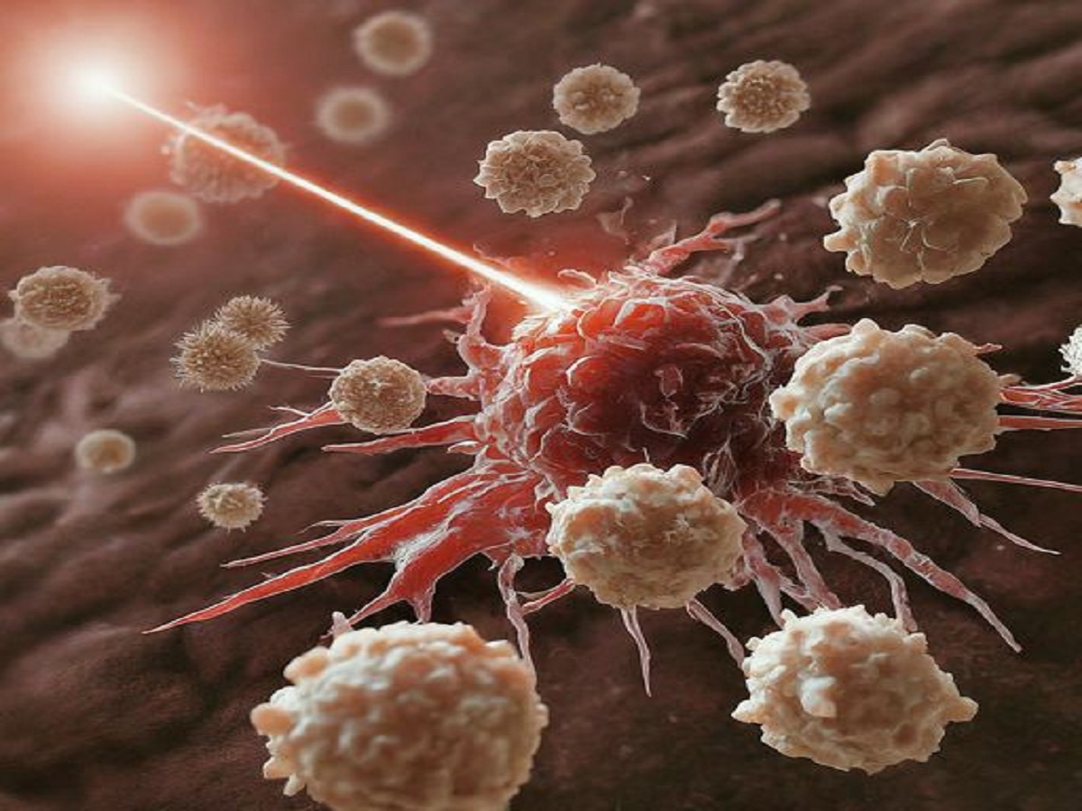 शिलाजीत भी इसके आगे फेल! जानिए उस आयुर्वेदिक जड़ी-बूटी का नाम जो मर्दों की ताकत को बना दे फौलादी - Photo Gallery