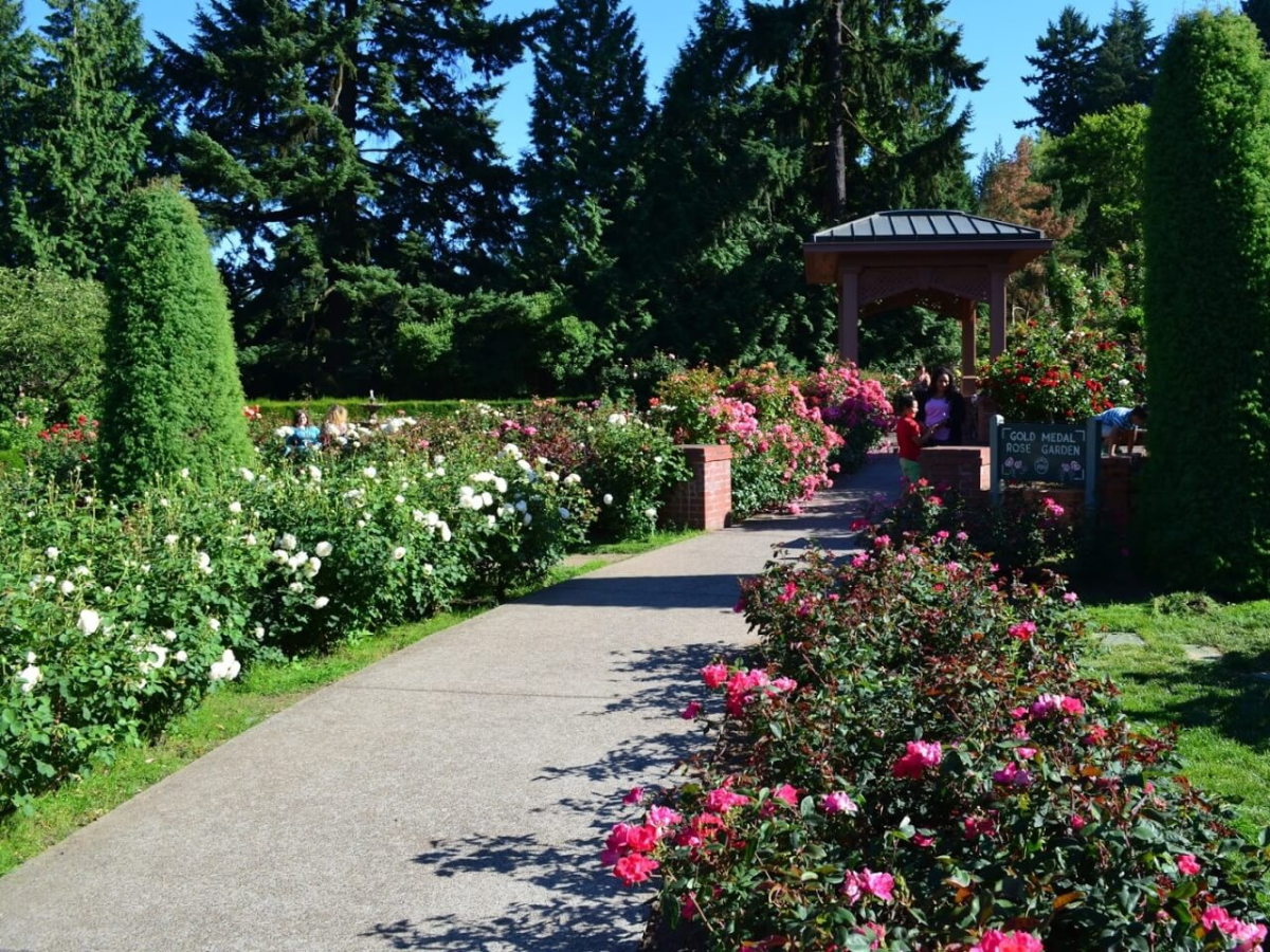 Rose Garden Nagpur - Photo Gallery