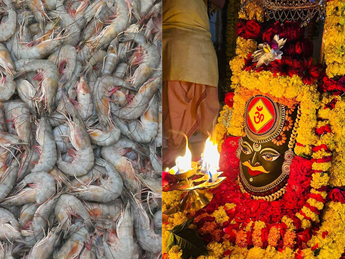 Shrimp Prawns Prasad in Goa - Photo Gallery