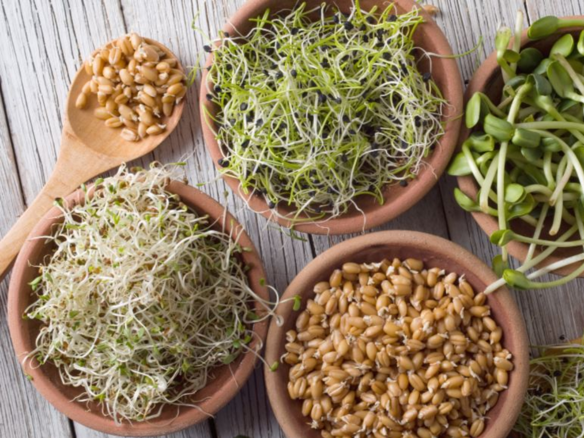 चाहिए Glowing Skin? तो इस तरह के खाने को शामिल करें अपनी डाइट में, कुछ ही दिनों में दिखने लगेगा असर - Photo Gallery