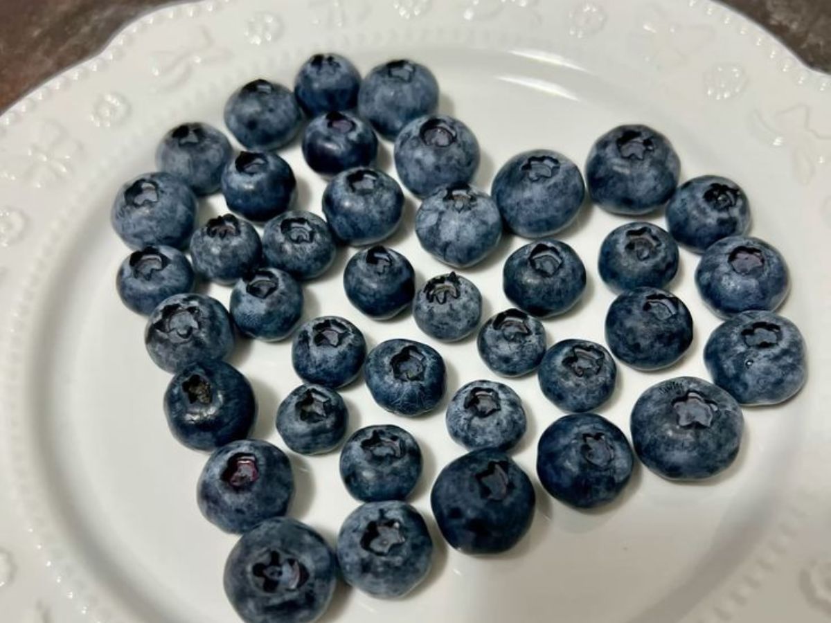 Blueberries Benefits: हेल्दी स्किन से लेकर weight loss में मदद करती हैं ब्लूबेरी, जानें और क्या – क्या हैं फायदे - Photo Gallery