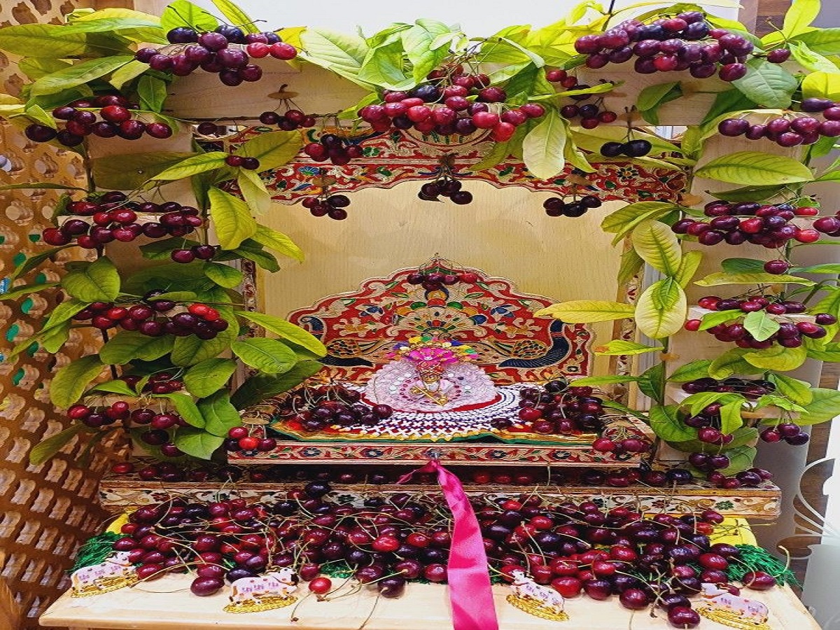 Janmashtami 2025: जन्माष्टमी पर करें तुलसी से जुड़े ये 5 चमत्कारी उपाय, लड्डू गोपाल की कृपा से घर में बरसेगा धन-धान्य और खुशहाली - Photo Gallery