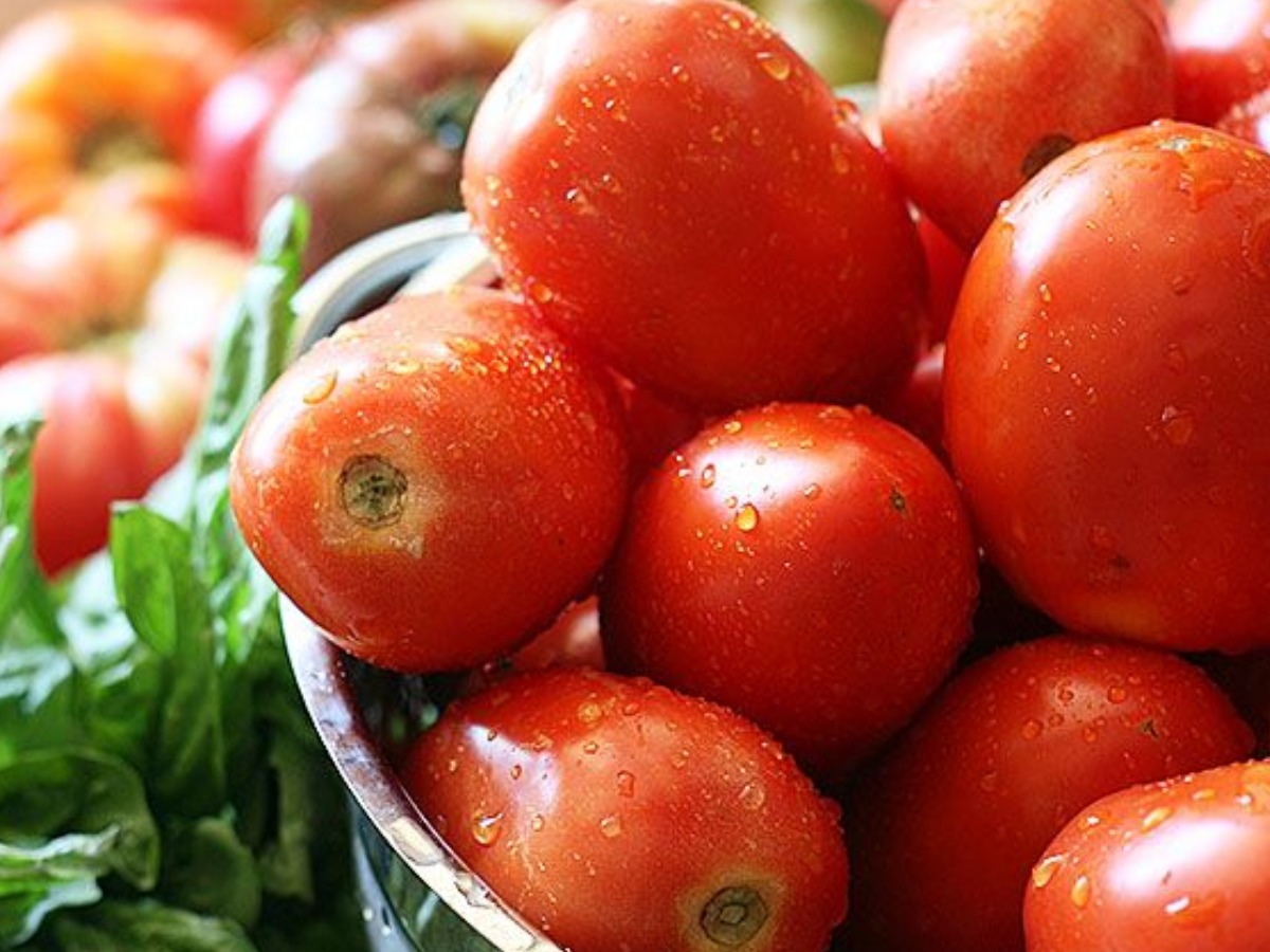 सब्जियां उगाने का शौक है? तो आप भी अपने घर को बनाएं एक छोटा बगीचा - Photo Gallery