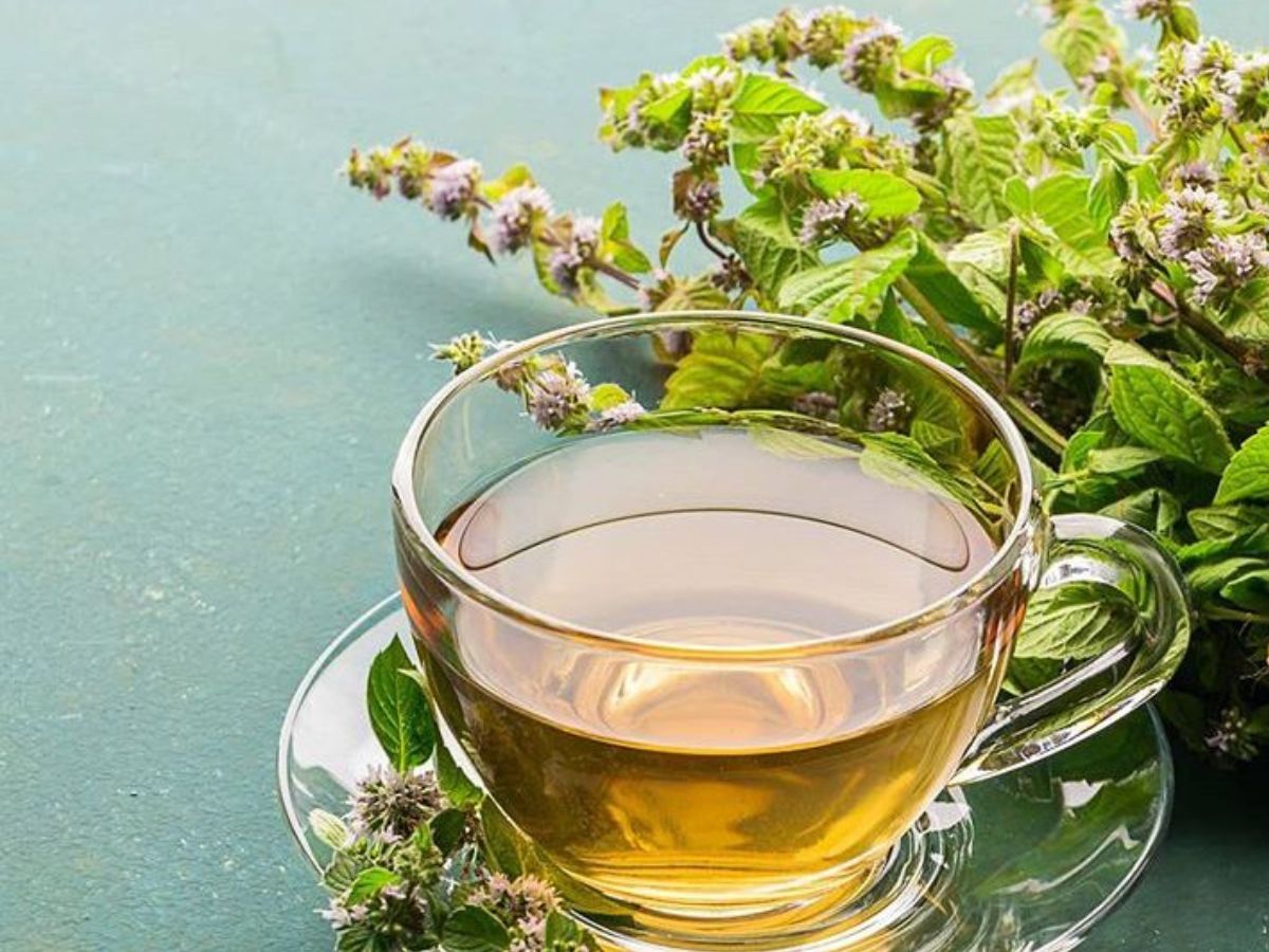 Holy Basil Kadha - Photo Gallery