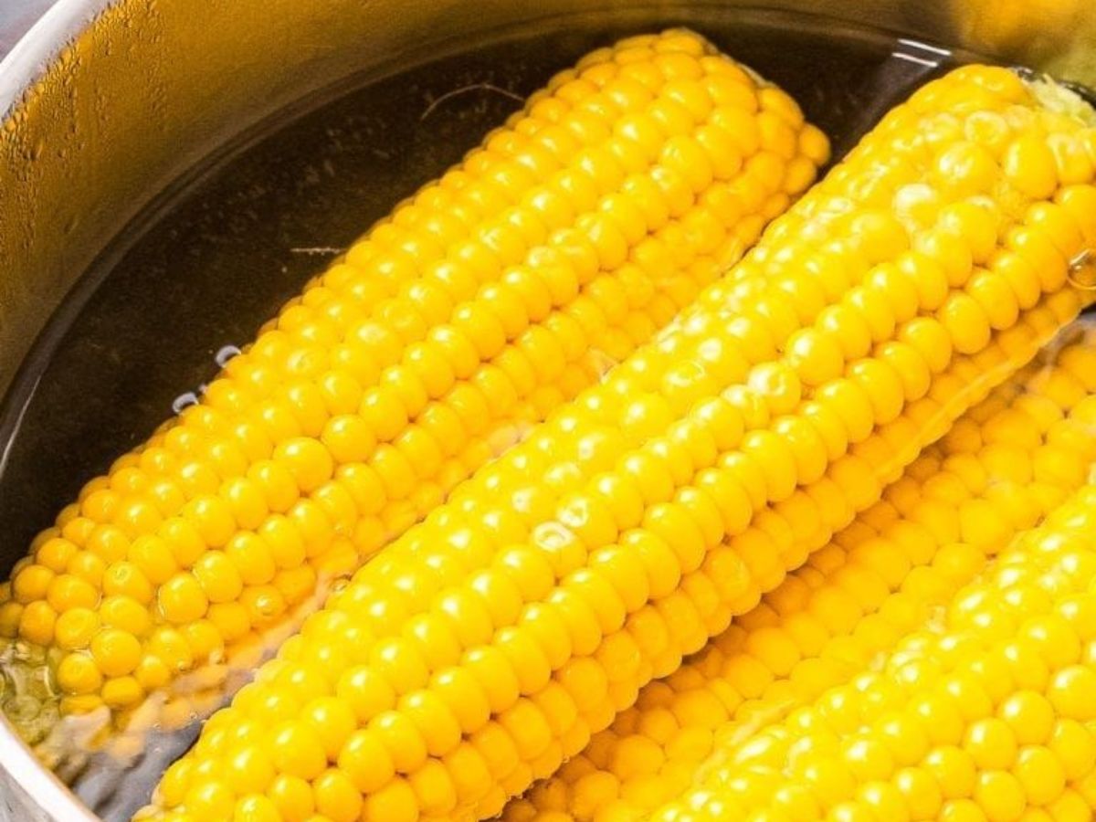 sweetcorn - Photo Gallery