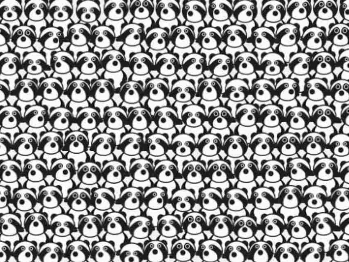 हर पांडा ढूंढना आसान नहीं है, इस तस्वीर में आपकी नजरें देंगी सही जवाब