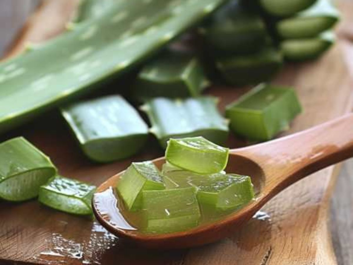 The magic of aloe vera gel - Photo Gallery