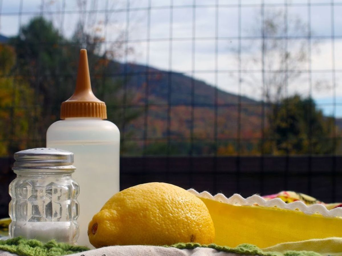 Kitchen Tips: स्टील हो या प्लास्टिक, अब बोतल की बदबू दूर करने के लिए आजमाए ये आसान घेरलू नुस्खा - Photo Gallery