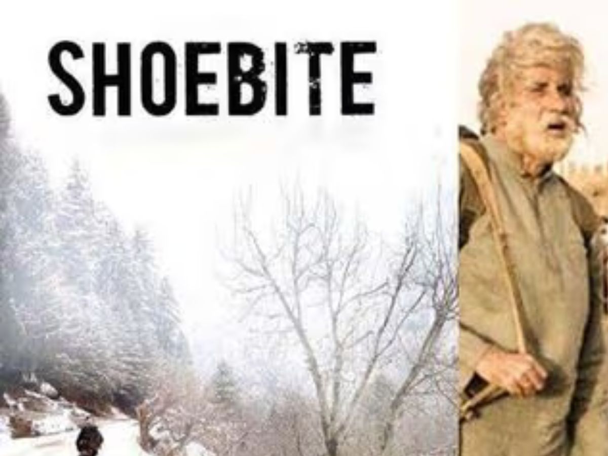 ये है बॉलीवुड की बिग प्रोजेक्ट फिल्में जो होने वाली थी सुपरहिट मगर नहीं लग पाई बड़े पर्दों, आख़िर क्या थी वजह? - Photo Gallery