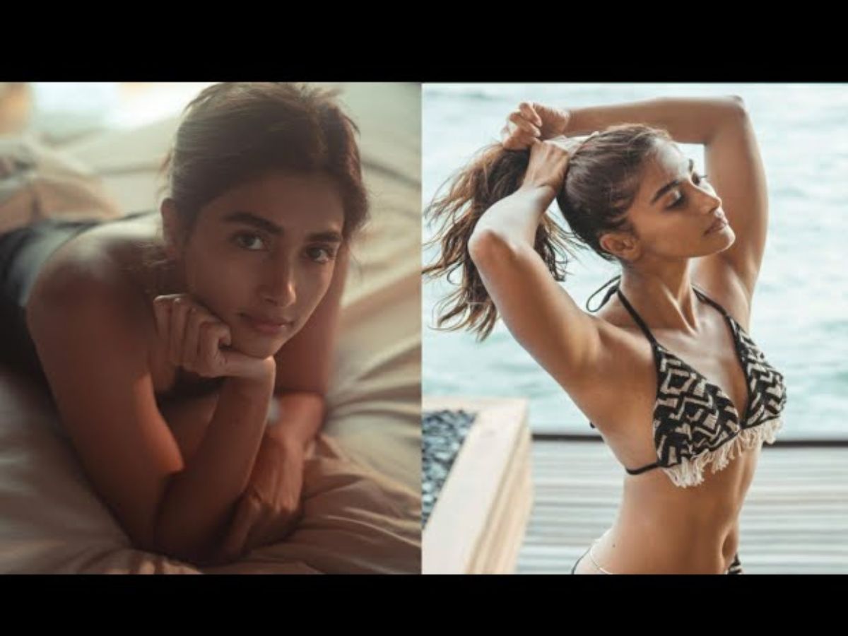 बॉलीवुड दिवा Pooja Hegde का स्टाइलिश स्विमवेयर में झलका ग्लैमरस अंदाज़, फैन्स ने देखते ही बोला “वाह”