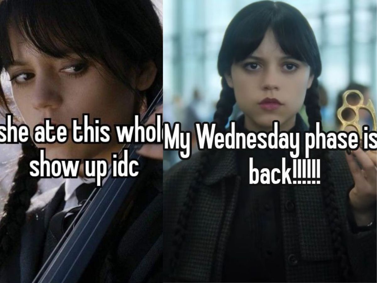 Memes of Wednesday series - Photo Gallery