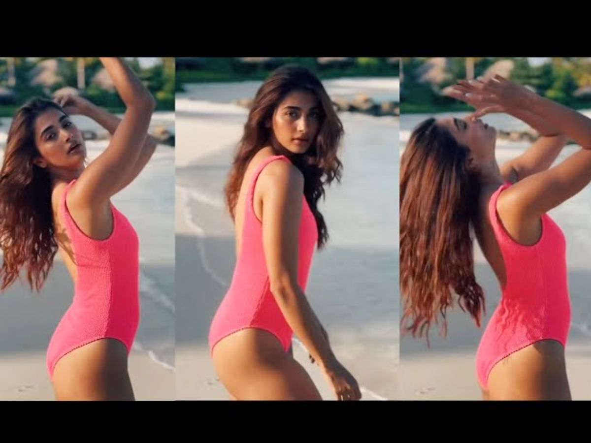 बॉलीवुड दिवा Pooja Hegde का स्टाइलिश स्विमवेयर में झलका ग्लैमरस अंदाज़, फैन्स ने देखते ही बोला “वाह”