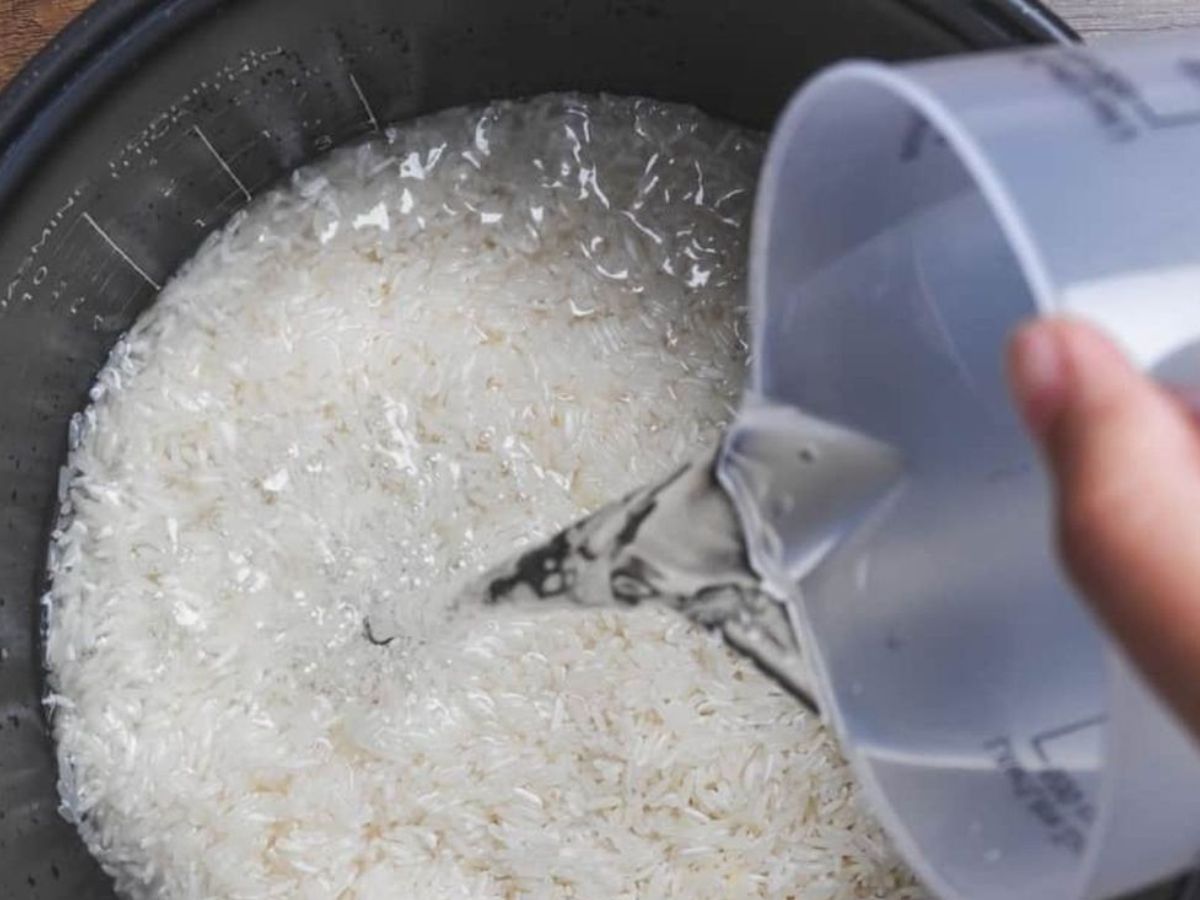 Prime Minister Narendra Modi Favourite khichdi: सादगी से भरी स्वाद कि प्लेट, ऐसे बनाएं पीएम मोदी की पसंदीदा खिचड़ी - Photo Gallery