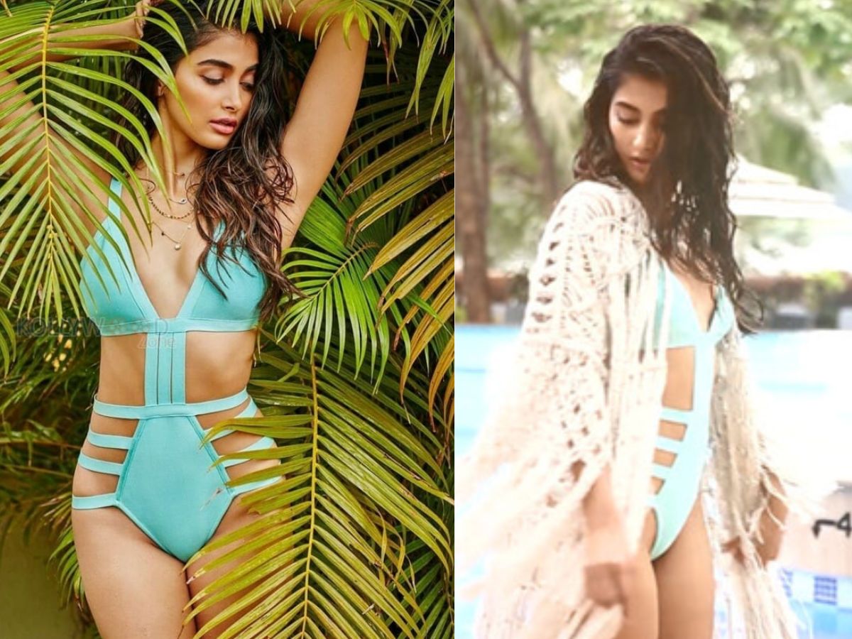 बॉलीवुड दिवा Pooja Hegde का स्टाइलिश स्विमवेयर में झलका ग्लैमरस अंदाज़, फैन्स ने देखते ही बोला “वाह”