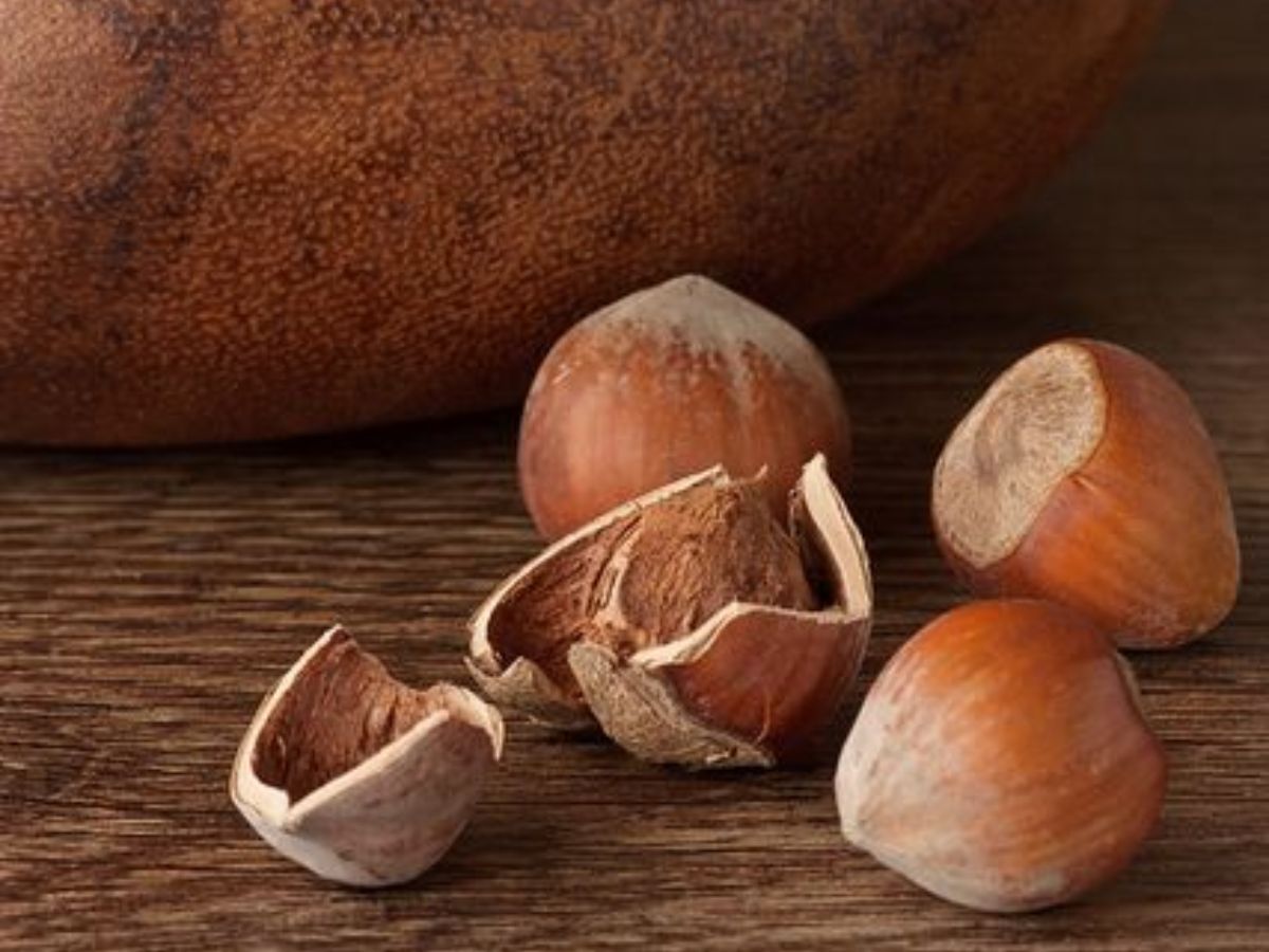 ड्राई फ्रूट्स को भिगोकर खाने के हैं कितने फायदे, फिर ना कहना बताया नहीं था - Photo Gallery