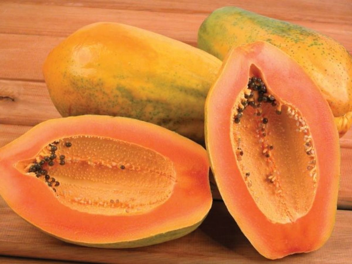 पपीते का छिलका फेंकते हैं? जान लीजिए ये है आपकी स्किन और बालों के लिए खजाना - Photo Gallery