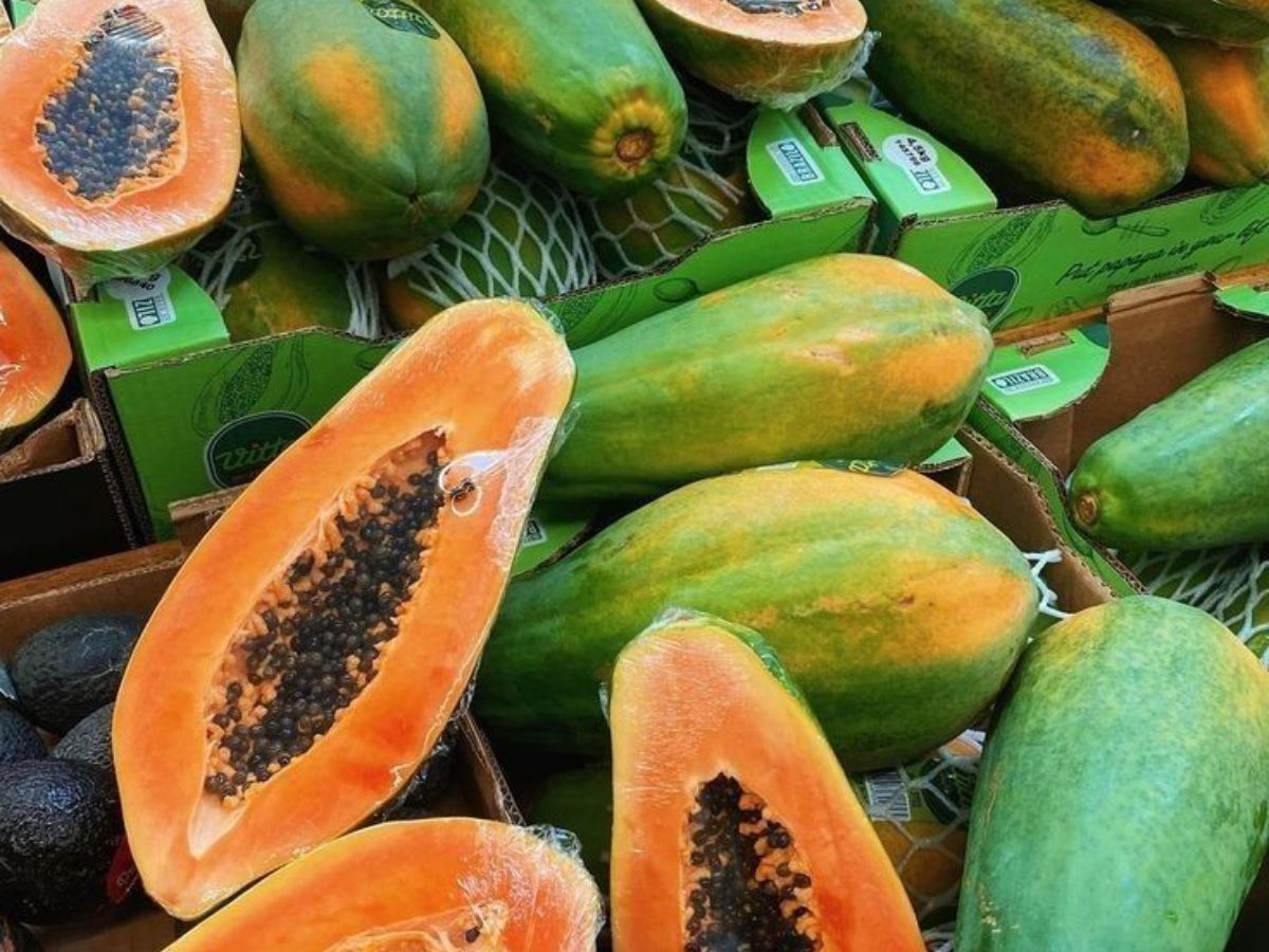 पपीते का छिलका फेंकते हैं? जान लीजिए ये है आपकी स्किन और बालों के लिए खजाना - Photo Gallery