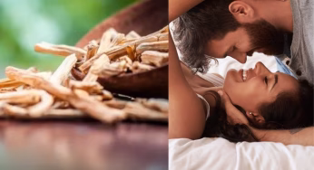 सेक्स लाइफ को बनाए मजेदार और दमदार, जानें शतावरी के सेवन के आयुर्वेदिक टिप्स