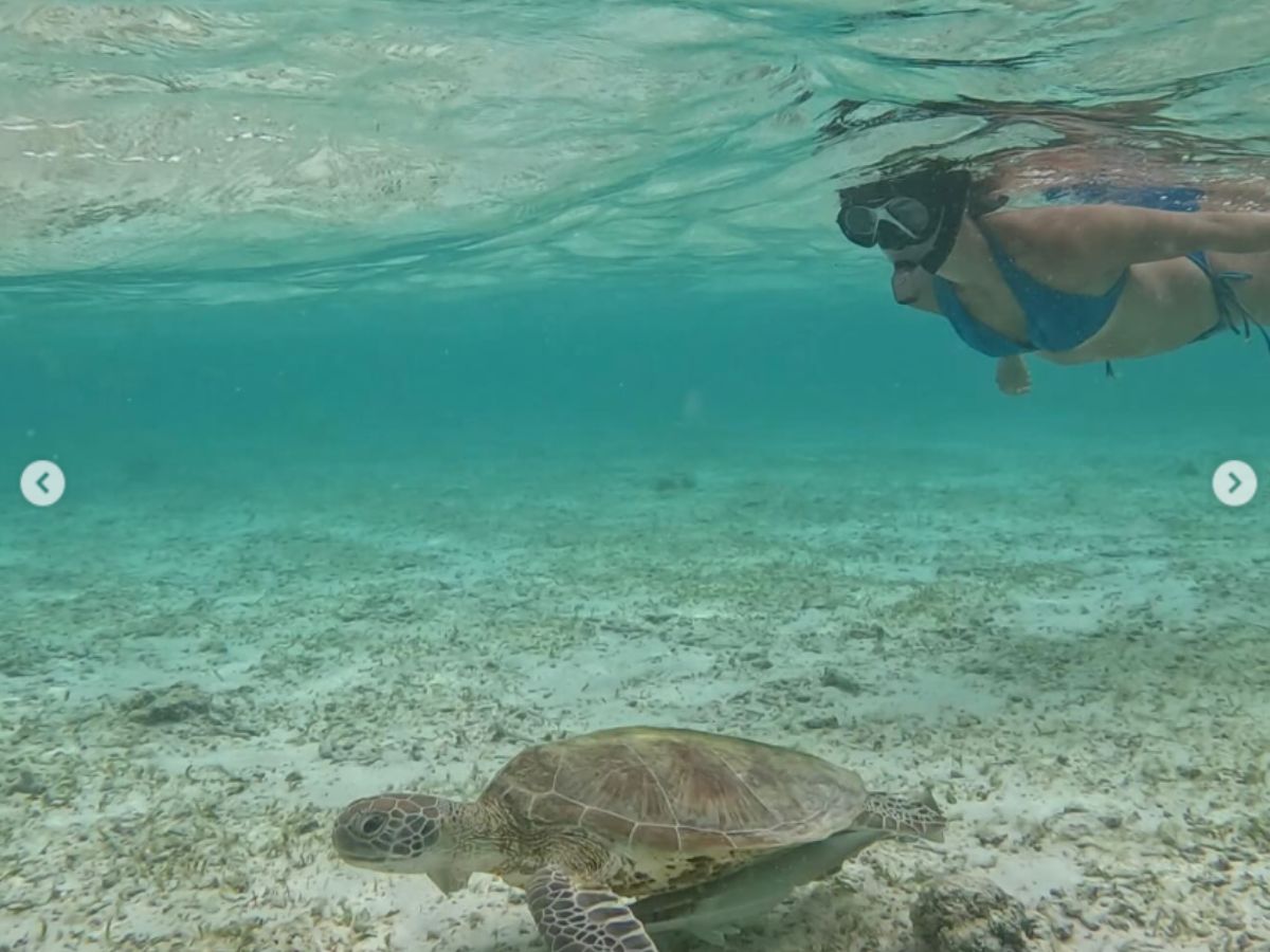 क्या Nora क्या Malaika, Bikini में अच्छे-अच्छों को औंधे मूंह गिरा देती है ये मासूम सी हीरोइन - Photo Gallery